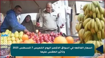 أسعار الفاكهة في أسواق الأقصر اليوم الخميس 7 أغسطس 2025 وتأثير الطقس عليها